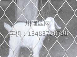 养殖护栏网
